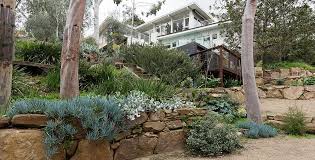 How To Create A Thriving Native Garden