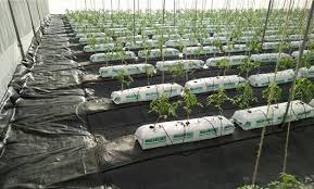 Non Woven Ground Covers Weed Control