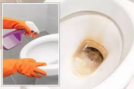 Removing Toilet Limescale