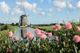 The Windmill A Quintessential Dutch