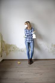 How To Get Rid Of Mold Diy Methods