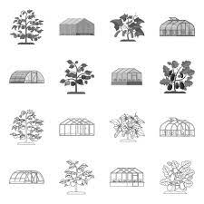 Vector Ilration Of Greenhouse And