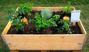 25 Incredible Vegetable Garden Ideas
