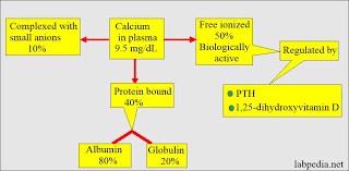 Ionized Calcium Ca Free Calcium