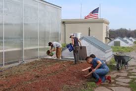 Resources Urban Agriculture