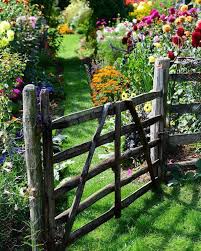 25 Rustic Fencing Ideas To Make Sure