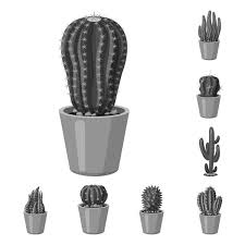 100 000 Cactus Silhouette Vector Images