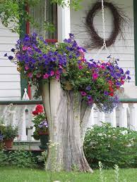 Decorate Your Garden With Tree Stumps