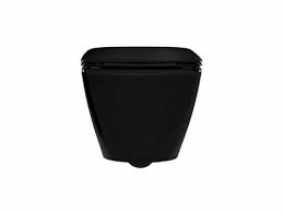 Wall Hung Toilet With Quiet Close Slim