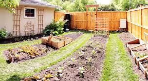 Extension Colostate Edu Images Topic Area Yard And