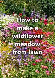 How To Make A Wildflower Meadow From