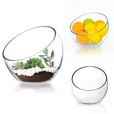 Glass Bowl Vase Plant Terrarium Pod