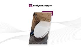 Install Toilet Seat Cover In Frankel