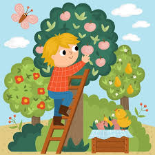 Ladder Picking Apples Funny Farm Garden