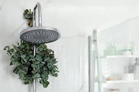Hanging Eucalyptus In The Shower