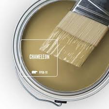 Behr Ultra 1 Gal Ppu6 19 Chameleon