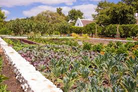 Backyard Gardening Ideas 2025 Guide