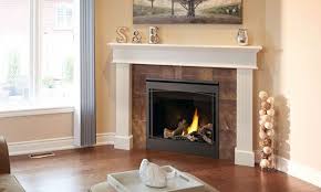 Napoleon Direct Vent Gas Fireplaces