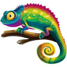 Chameleon Icon Children S Book Animal