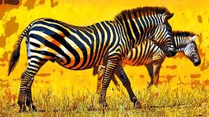 African Animal Art Stock Photos