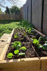 Square Foot Gardening