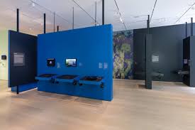 At Moma Explores