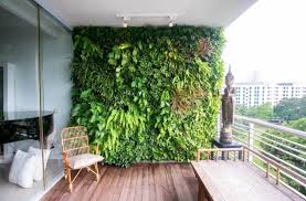 Balcony Garden Ideas Plants In India