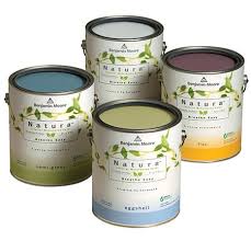 Eco Friendly Steeles Paint