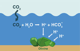 Olivine Dissolution In Seawater