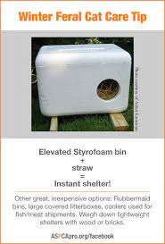 Outdoor Cat Shelters And Feeding Stations