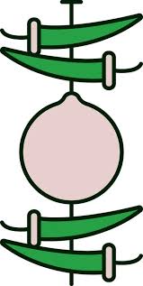 Hanging Lemon Chilli Icon In Green And