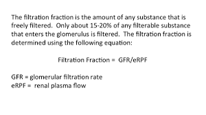 Glomerular Filtration Rate And Renal