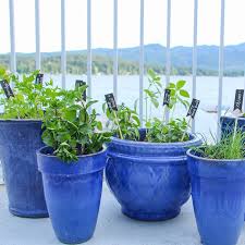 Easy Diy Kitchen Herb Garden In Deck