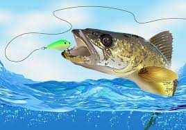 Walleye Fish Take The Bait 125078