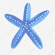 Blue Starfish Blue Vector Blue Dark