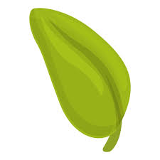 Flavor Food Icon Cartoon Vector Leaf