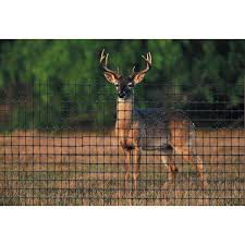 Deer Fence 1a120386