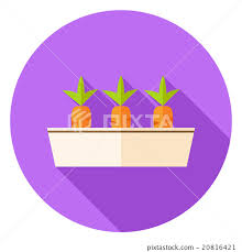 Carrots Vegetables In Garden Pot Circle