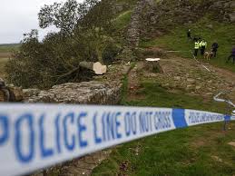 Hadrian S Wall Damaged By Sycamore Gap
