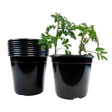 Hydroponics Organic 2 Gal Nursery Pots