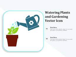 Watering Plants And Gardening Vector