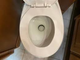Toilet Bowl That S Not Holding Water