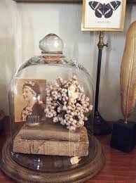 Glass Domes Cloche Decor