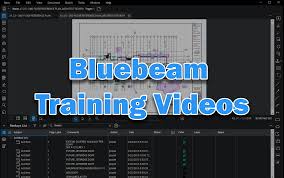 bluebeam training s taradigm