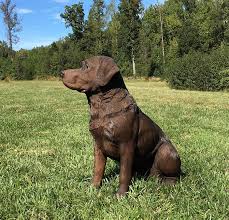 Chocolate Lab Outdoor Statues For