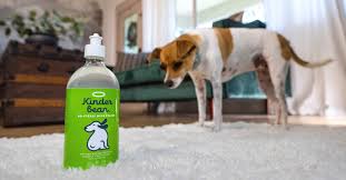 The Best Enzyme Cleaner For Dog Urine