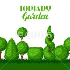 Boxwood Topiary Garden Plants Seamless