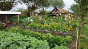 Community Garden Benefits Types