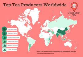 Where Is Tea From Destination Tea