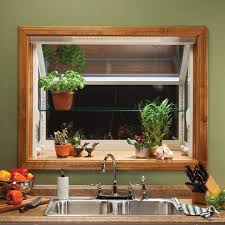 Garden Window Replacement Plant